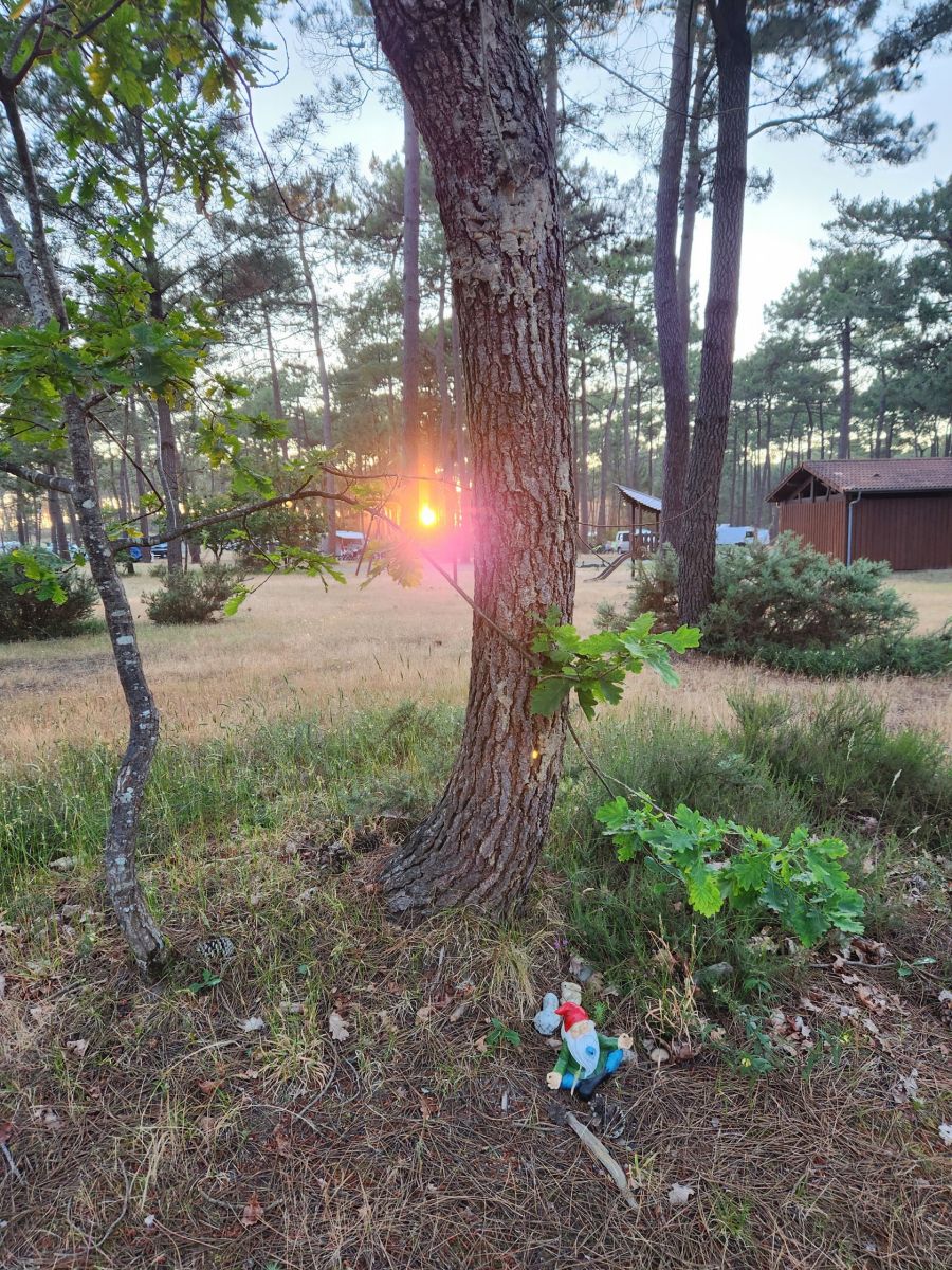 Erinnerung an die tägliche Übung